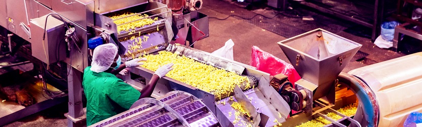 1106 entreprise camerounaise