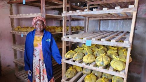 1209 22441 soutien aux jeunes entrepreneurs plus de 5 milliards fcfa injectes par la cooperation allemande L