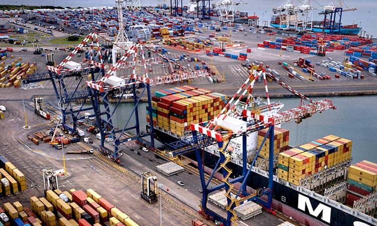 Africa Exclusive afrique marches produits agricoles fao