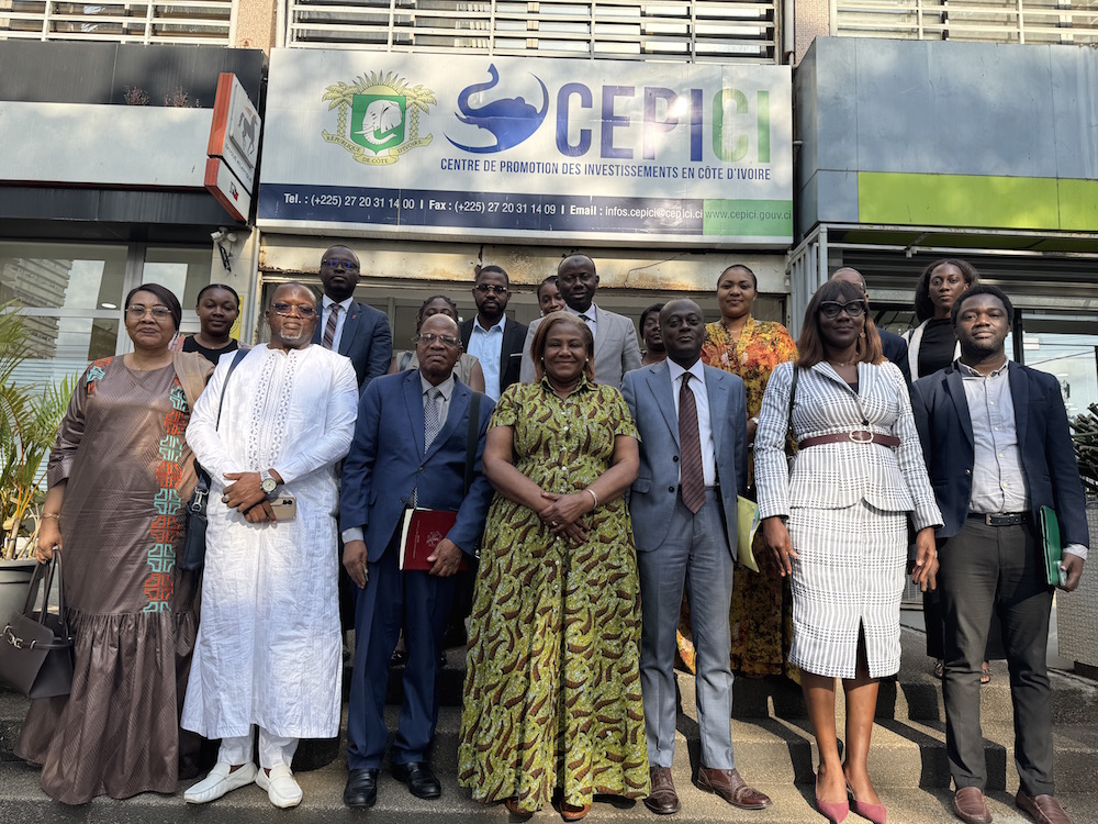 cooperation economique la guinee sinspire du savoir faire du cepici pour dy cngf0osi5mh