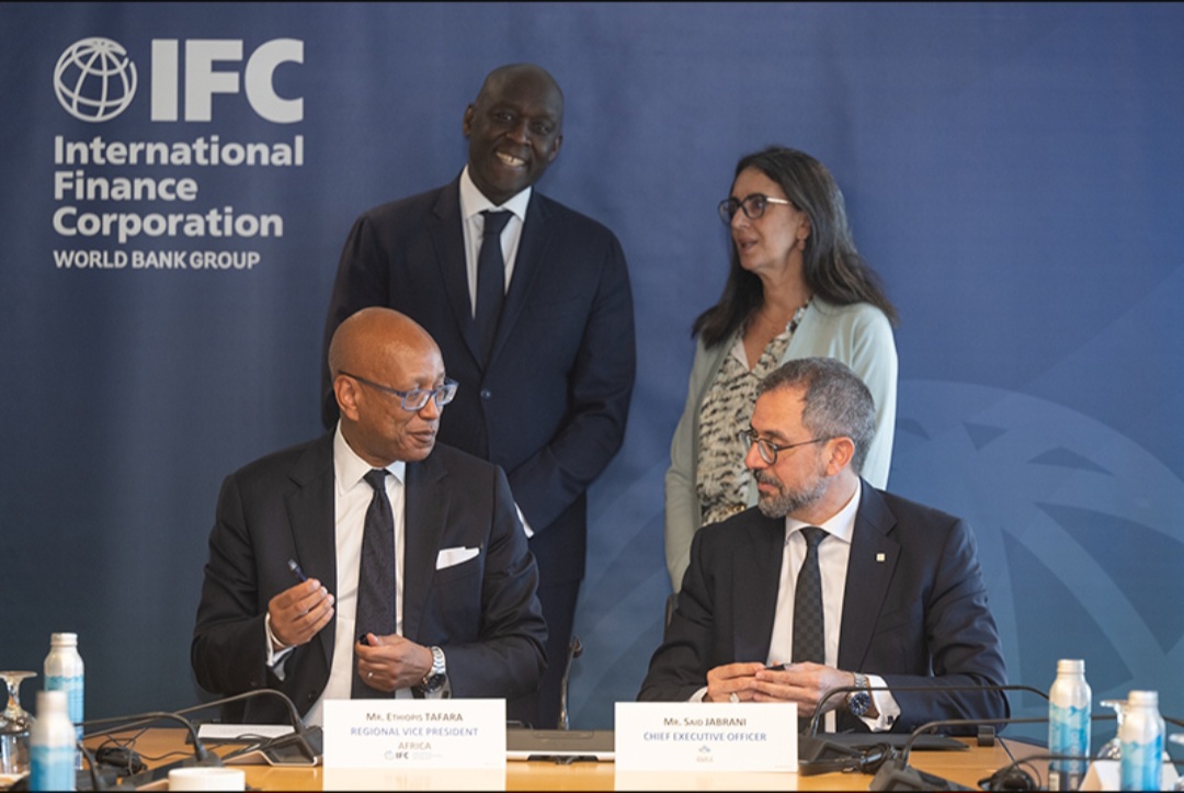 IFC SASSOCIE A TAMWILCOM