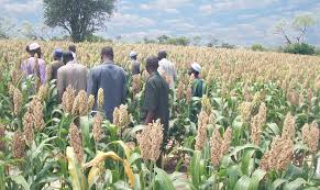 download