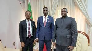 Entreprenariat : La fondation Tony Elumelu renforce son partenariat avec le Mali