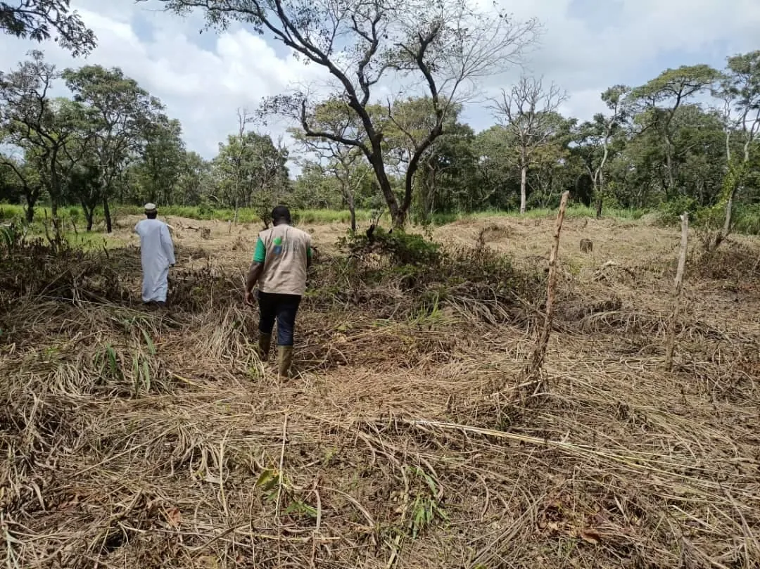 Cameroun : Le gouvernement lance une opportunité d&rsquo;affaires, pour la construction d&rsquo;un complexe agro-industriel de 23,2 milliards Fcfa